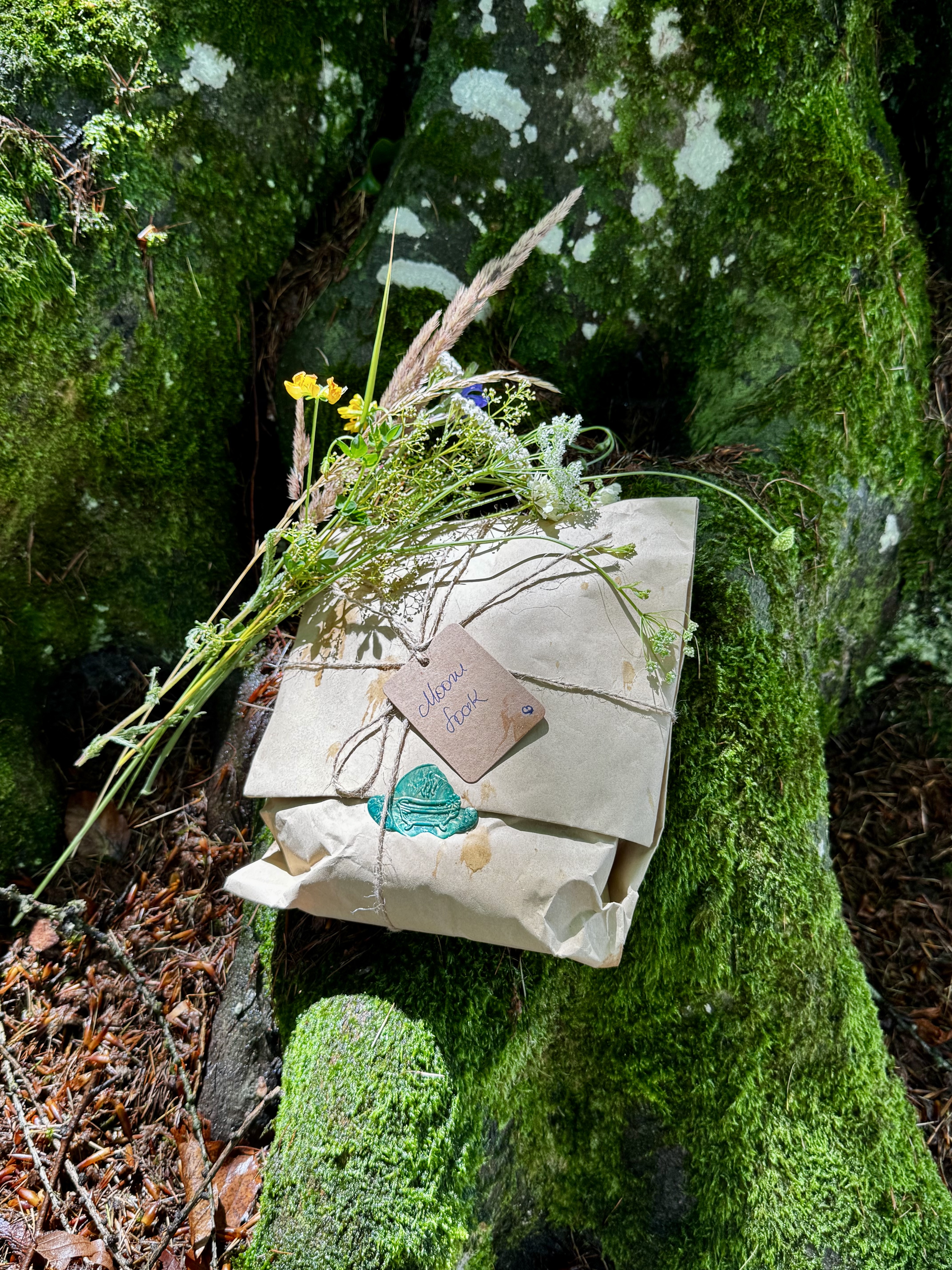 Ofuro Botanica — povestea brandului