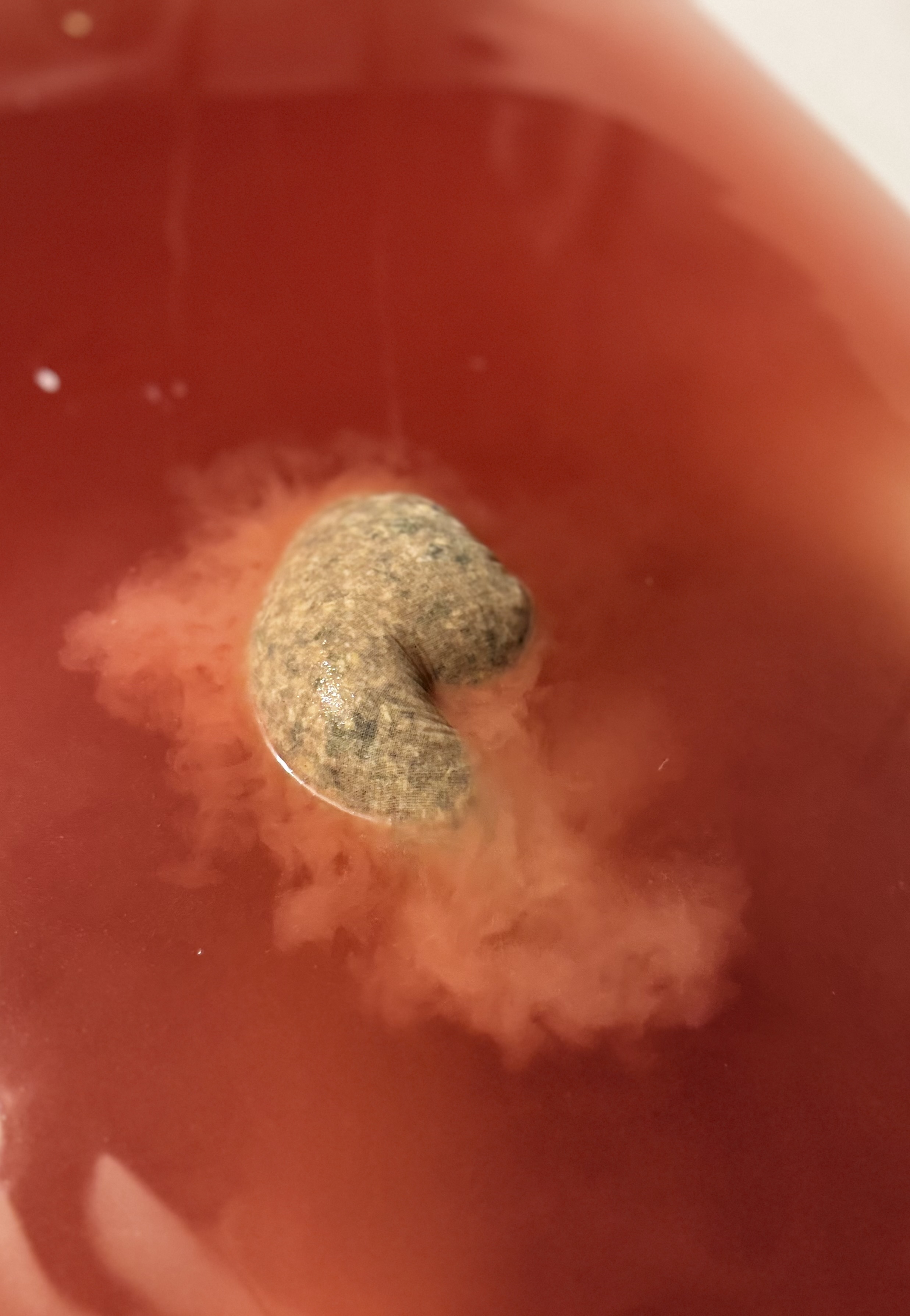 Soak botanic Ofuro în apă caldă – plante naturale infuzate